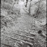 ZEISS IKON Contax IIa／Zeiss-Opton　Biogon35mmF2.8T　