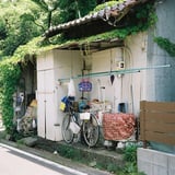 木陰