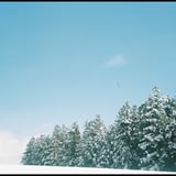 涼しくなる写真を