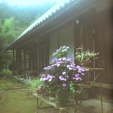 日比野家