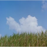 夏雲