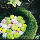 　菅生神社