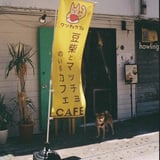 豆柴とマッチョのいるカフェ