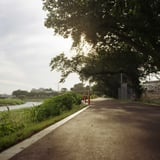 朝の散歩道