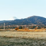 実家から