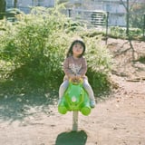 公園のサイ