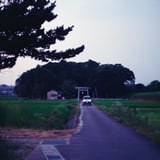 神様いそう