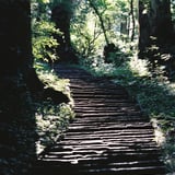 羽黒山