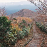 栗駒山