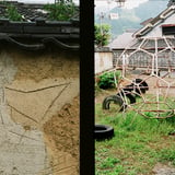 2008.4.27  路上観察