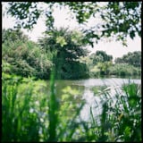 2012.8.13 夏の水辺