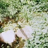 小川