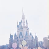 That day's Cinderella castle