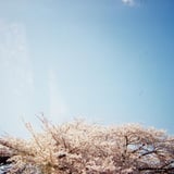 空の隙間