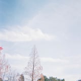 淡い空