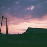 淡淡しい
