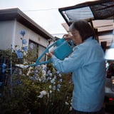 水やり