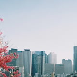 屋上に登りて