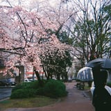 もうこの季節