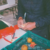 果物屋の1日