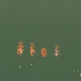 緑に消える