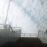 よく見ていた