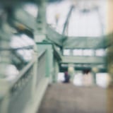 ぼけぼけ