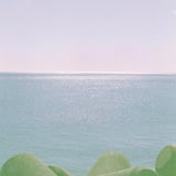 波打ち際に行けにけり