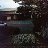 散った。