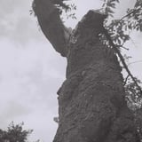 生命力