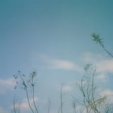 伸草
