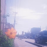 希望