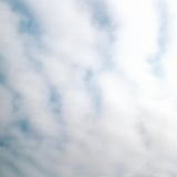 ウロコグモ