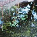 水溜り
