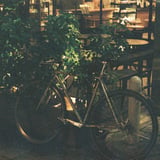 自転車
