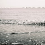 寄する波