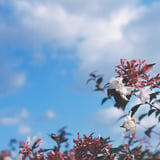 青空