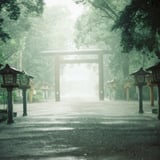 鳥居と雨