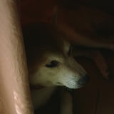 その目はどこに