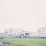 青い秋