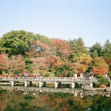 秋晴れ