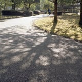公園散歩