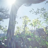 コンパクトカメラで撮る