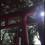 元日の光り