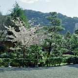 写真趣味