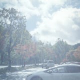 せせらぎ街道にて