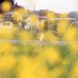 春の散歩