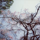 チェキで撮った写真