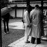 雨