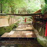 貴